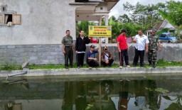 BUMDes Lestari Desa Oro Oro Ombo Kembangkan Budidaya Ikan Mujair