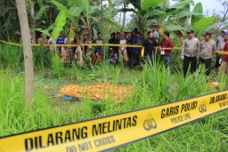 Carok, Warga Meninjo Lumajang Mati Bersimbah Darah