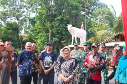 Petahunan Lumajang Launching Kambing Sebagai Ikon Desa