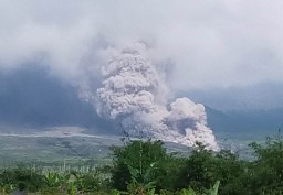 Semeru Semburkan Awan Panas Sejauh 7 KM Arah Timur Laut Lumajang