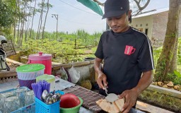 Seruput Es Kelapa Pinggir Sawah Jalan Desa Klampokarum Lumajang