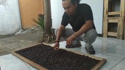 Gemapalu Lumajang Buru Citra Rasa Kopi Semeru