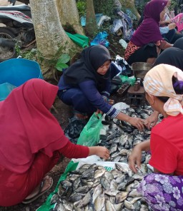 Ini Harga Ikan di Ranu Klakah Lumajang Saat Fenomena Koyo