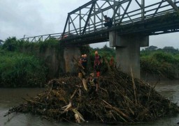 TRC BPBD Lakukan Upaya Pembersihan Sampah Bambu di Bawah Jembatan Sariono