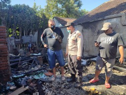 Kebakaran Rumah di Desa Sumberjati Lumajang, Belasan Kambing Mati