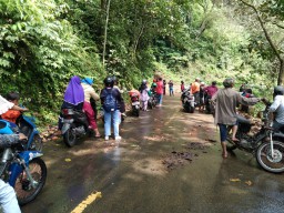 Hati-hati Piket Nol Lumajang Longsor, Arus Lalu Lintas Buka Tutup