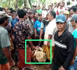 Apes, Maling Sepeda Motor Babak Belur Dimassa Warga Desa Tegalciut Lumajang