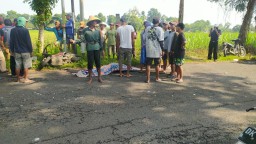 Tabrakan Truk Vs Motor di Desa Krai Lumajang,  Pemotor Meninggal Dunia