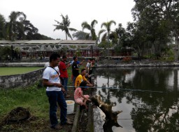 Mancing Mania,  Family Gathering FB Lumajang Panitia Siapkan Ribuan Ikan Gurami