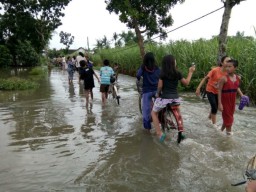 Meluap,  Banjir Selutut Rendam Rumah Warga Desa Darungan Yosowilangun