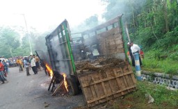 Diduga Angkut Sapi Curian, Truck Dibakar Sopir Tewas di Massa