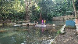 Gunung Kupatan, Ayo...! Makan Ketupat Gratis di Sumber Pakel