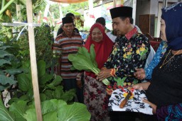 Wow Keren... !! Lumajang Miliki Kampung Sayur