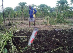 Dooor...! Roket Jatuh Ditengah Kebun Pepaya di Desa Bago-Pasirian