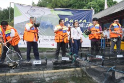 Konsumsi Ikan Masyarakat Masih Rendah