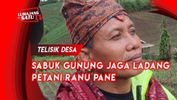 Video: Menata Ladang Ranu Pane Lumajang dari Erosi