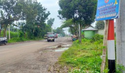 Jalan JLT Selatan Lumajang Rusak Parah Cocok Buat Latihan Ujian SIM