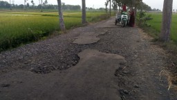 Duh..! Jalan Pertanian Dusun Galingan - Boreng Rusak Parah