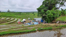 Wisata Pemandian Alam Kalisemut Lumajang Cukup Diminati