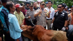 Kapolres Lumajang Sosialisasikan Rantai Anti Maling Sapi di Yosowilanggun