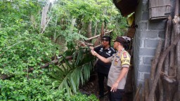 Geram Aksi Pencurian Sapi, Kapolres Datangi TKP dan Sapa Korban di Kudus - Klakah