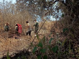 Kapolres dan Dandim Lumajang Turun Langsung Giat Pemadaman Hutan Semeru