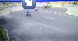 Viral Mobil Tabrak Pohon di Selokbesuki Lumajang Hindari Emak-emak