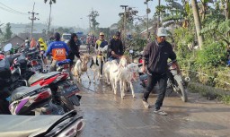 Hari ke-2 Pengungsi APG Semeru Lumajang Pulang Selamatkan Hewan Ternak