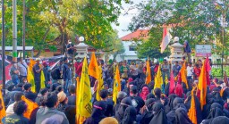 Nestapa Petani Lumajang, 1 Liter Minyak Goreng Setara 7 Kg Gabah