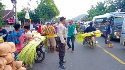 Janur Mulai Bermunculan Jelang Riyoyo Pitu di Pasar Ranuyoso Lumajang