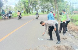 Kurang Waspada Salip Pick Up Pemotor Tewas di Jalan Sukosari Lumajang