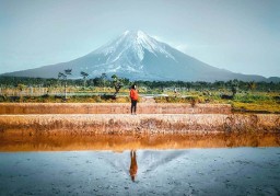 Jalur Pendakian Gunung Semeru Lumajang Kembali Dibuka