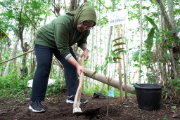 Penghijauan di Tumpak Selo Lumajang Jaga Oksigen dan Sumber Mata Air