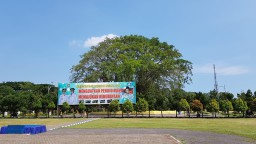 Duh..! Pohon Beringin Alun-Alun Lumajang Mengering Dikaitkan Hal Mistis