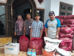 Poktan Dewi Sri Kunir Lumajang Terima 3,5 Ton Bibit Bawang DBHCHT