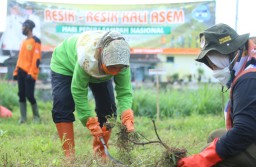 Lumajang Peringati HPSN Lakukan Resik-Resik Kali Asem