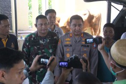 Modus Baru, Maling Sapi di Desa Tempeh Lumajang Angkut Pakai Mobil