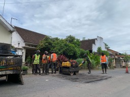 Tim Ngapling DPUTR Lumajang Perbaiki Jalan Tempeh - Yosowilangun