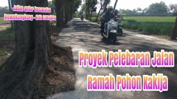 Video : Pelebaran Jalan Ramah Pohon Lumajang