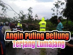 Video : Angin Puting Beliung Terjang Lumajang