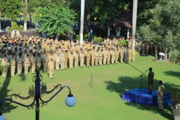 Lowongan CPNS Lumajang 2019 Tunggu Kepastian Pusat