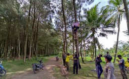 Polisi Tutup Kapas Ijo Candipuro Lumajang Akibat Video Viral Tawuran