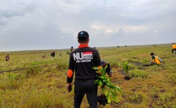 Tanam Pohon di Pesisir Wotgalih Lumajang dan Tolak Tambang