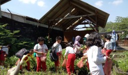 Siswa SDN Jogotrunan Belajar Bertani di Wisata Edukasi Alas Semeru