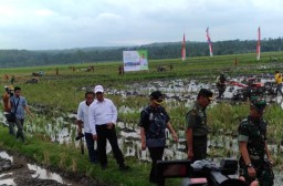 Mentan RI Amran Sulaiman Sapa Petani Lumajang