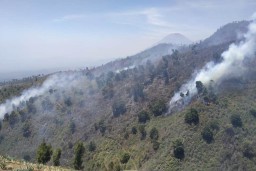 Kawasan Hutan Wisata B 29 Kampung Nirwana Kembali Terbakar