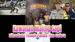 Video : Tim Cobra Tembak Komplotan Maling Sapi Selok Anyar