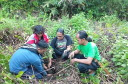 Pohon Baobab dari Afrika Pertama Ditanam di Gunung Lamongan Lumajang