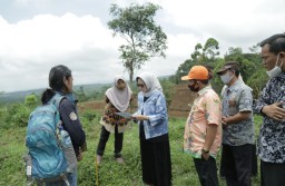 Minim Pohon Penyangga Bumi Perkemahan Glagaharum Lumajang Longsor