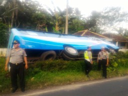 Ngeblong, Bus Ladju Seruduk Sepeda Motor di Kedungjajang